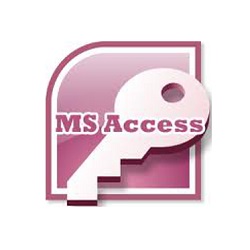 Microsoft Access as database Richmond Programmer